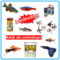 Aanbiedingen84
