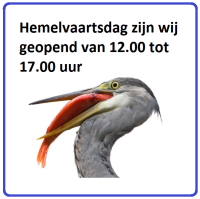 hemelvaartsdag17